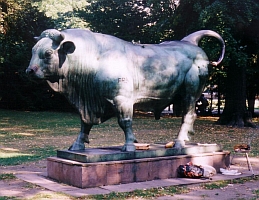 Stier im Gnthersburgpark