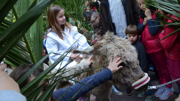 Palmsonntag in St. Josef Frankfurt-Bornheim