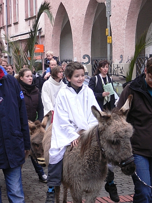 Esel am Palmsonntag