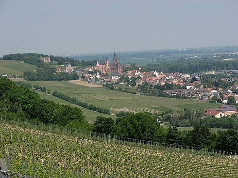 Weinberge rund um Oppenheim