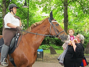 Pferd bei Tiersegnung