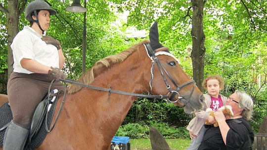 Pferd bei Tiersegnung